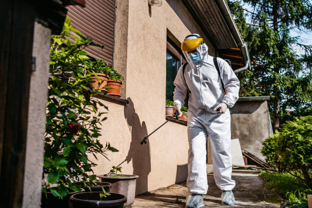 Best Affordable Pest Control Services  in Burlington, KS