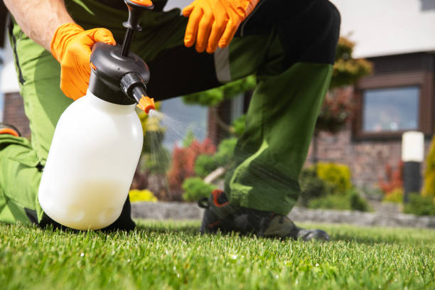 Best Best Pest Control Companies  in Burlington, KS