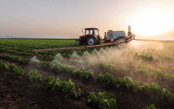 Best Pest Inspection Near Me  in Burlington, KS