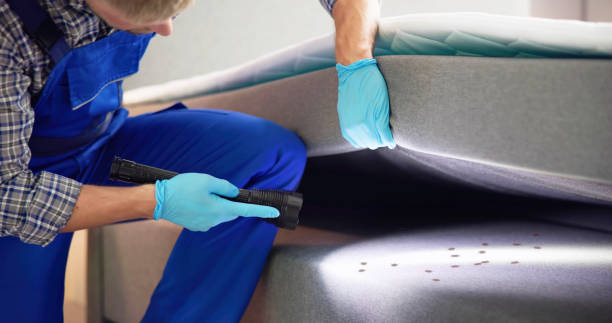 Best Affordable Exterminators  in Burlington, KS