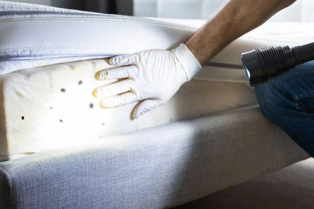 Best Pest Control Near Me  in Burlington, KS