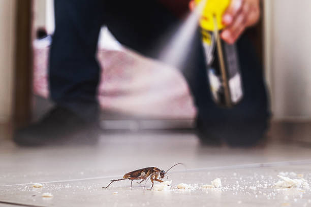  Burlington, KS Pest Control Pros