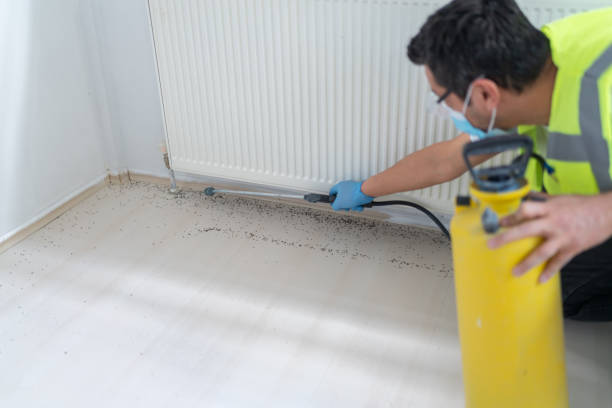 Best Commercial Pest Control Services  in Burlington, KS
