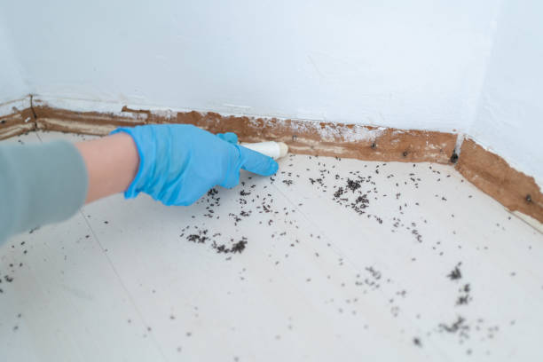 Best Residential Pest Control  in Burlington, KS